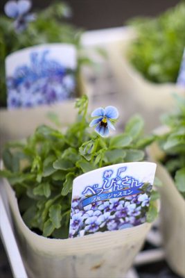 写真 2025-12-11 16 14 04_R_1