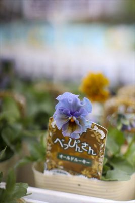 写真 2025-12-11 16 14 53_R_1