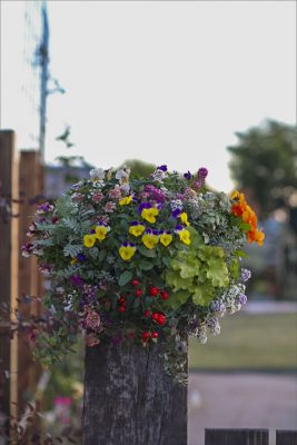 写真 2025-12-06 16 46 06_R_1