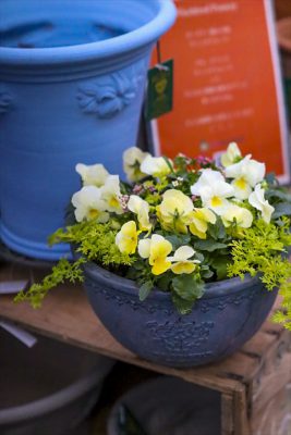 写真 2025-12-26 16 21 34_R_1_1