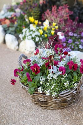 写真 2025-12-06 16 33 20_R_1