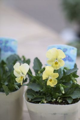 写真 2025-12-14 16 17 51_R_1