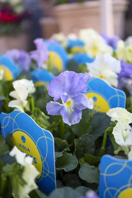 写真 2025-12-18 15 38 15_R_1