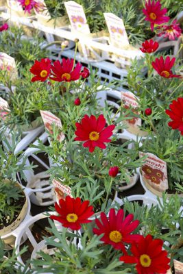 写真 2025-12-17 15 50 25_R_1