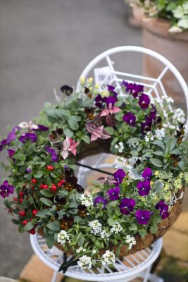 写真 2025-12-07 16 57 23_R_1