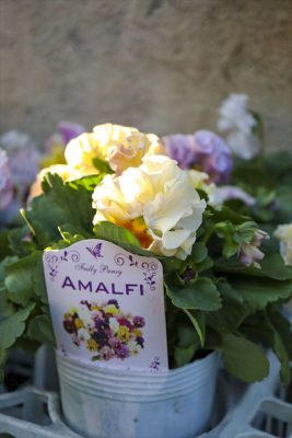 写真 2025-12-18 16 14 15_R_1