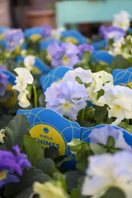 写真 2025-12-18 15 38 09_R_1