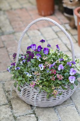 写真 2025-12-22 7 57 51_R_1