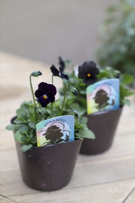 黒ねこのタンゴ (2)