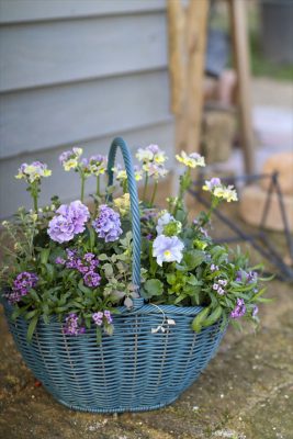 写真 2025-12-22 16 21 50_R_1