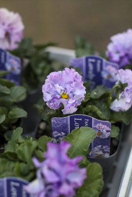 写真 2025-12-04 16 50 23_R_1