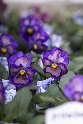 写真 2025-12-17 16 28 35_R_1