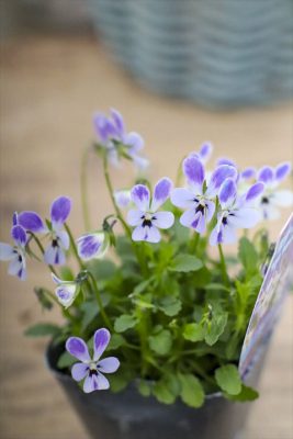 写真 2025-12-11 16 10 46_R_1