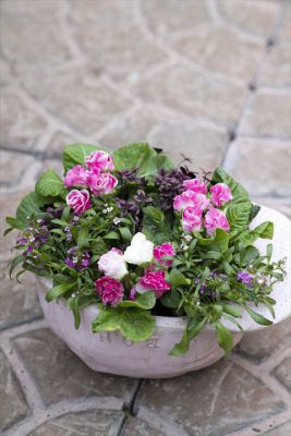 写真 2025-12-18 16 19 38_R_1