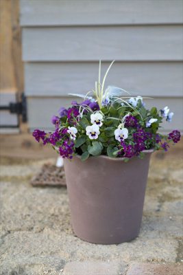 写真 2025-12-09 16 55 33_R_1