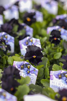 写真 2025-12-03 15 19 05_R_1