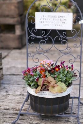 写真 2025-12-03 16 42 44_R_1