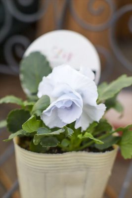 写真 2025-12-10 16 27 49_R_1