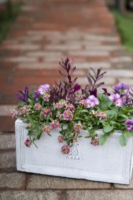 写真 2025-12-17 16 23 35_R_1