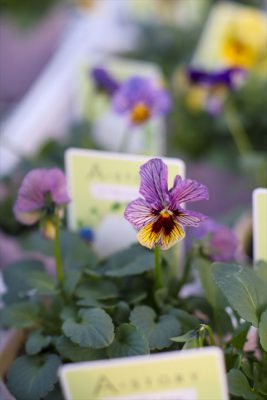 写真 2025-12-02 16 38 46_R_1