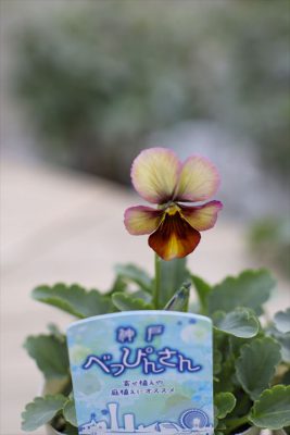 写真 2025-12-14 16 16 37_R_1