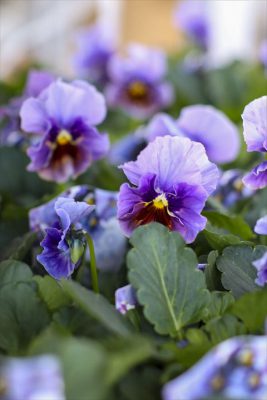 写真 2025-12-03 15 17 52_R_1