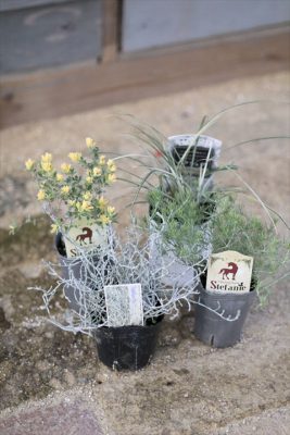 写真 2025-12-08 17 13 19_R_1