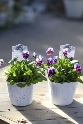 写真 2025-12-22 9 45 22_R_1