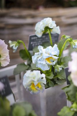 写真 2025-12-11 16 15 57_R_1