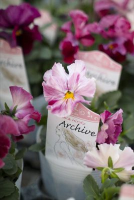 写真 2025-12-11 16 50 06_R_1