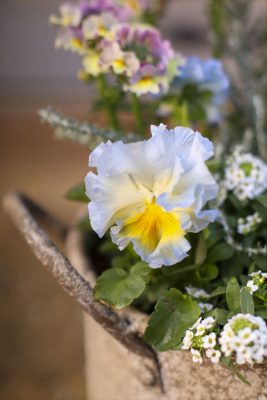 写真 2025-12-16 16 29 19_R_1