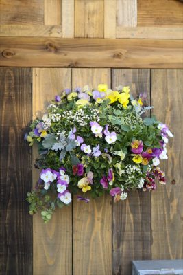 写真 2025-12-12 16 36 46_R_1