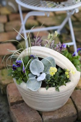 写真 2025-12-12 16 42 50_R_1