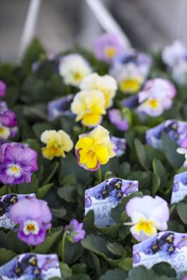 写真 2025-12-17 16 29 03_R_1