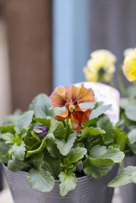 写真 2025-12-03 15 13 41_R_1