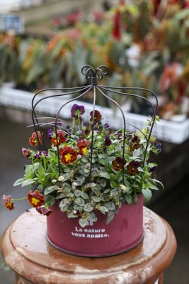 写真 2025-12-01 8 39 37_R_1