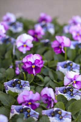 写真 2025-12-03 15 22 37_R_1