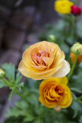 写真 2025-12-17 15 55 11_R_1