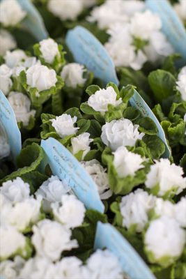 写真 2025-12-10 16 23 45_R_1