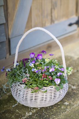 写真 2025-12-19 16 11 30_R_1