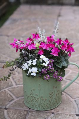 写真 2025-12-10 16 35 35_R_1