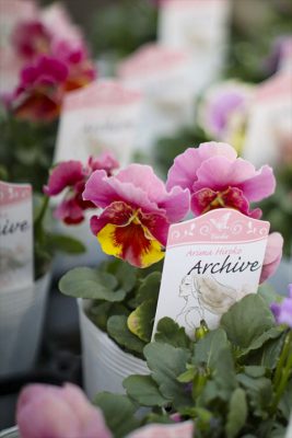 写真 2025-12-11 16 50 16_R_1