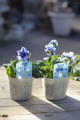 写真 2025-12-22 9 44 29_R_1