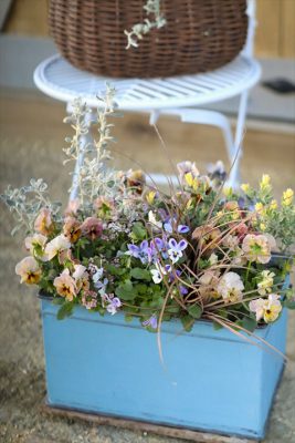 写真 2025-12-05 16 41 44_R_1