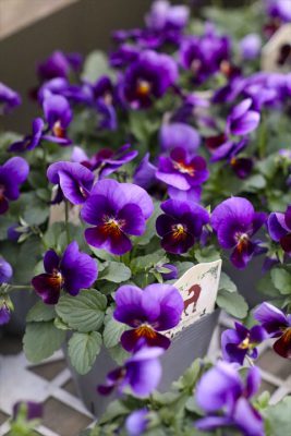 写真 2025-12-02 16 42 32_R_1