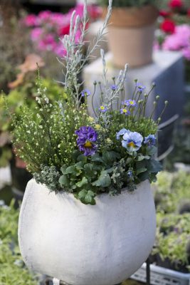 写真 2025-12-24 16 48 20_R_1