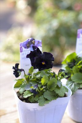 写真 2025-12-08 11 02 23_R_1