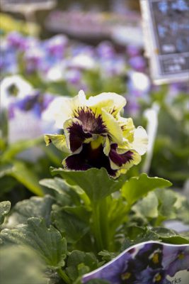 写真 2025-12-20 9 41 38_R_1