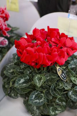 写真 2025-12-03 16 50 26_R_1