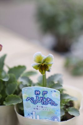 写真 2025-12-14 16 16 27_R_1